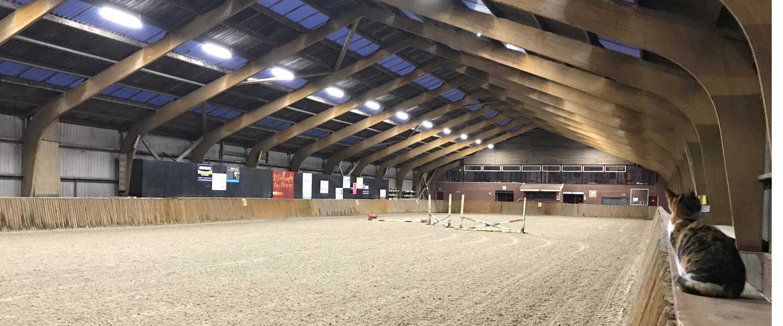 Grote overdekte rijhal met een kat die op de rand zit en uitkijkt over de lege zandbodem en springhindernissen.