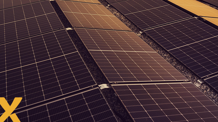 Zonnepanelen op een schuin dak van een bedrijfsgebouw in de avondzon.