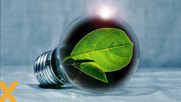 Groen blad in een gloeilamp als symbool voor duurzame energie en energietransitie.