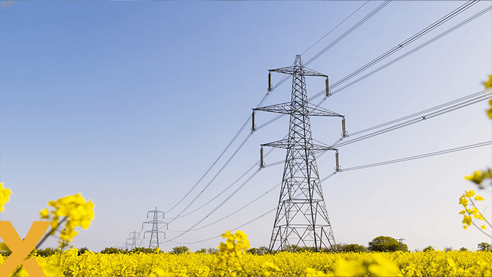 Hoogspanningsmasten met elektriciteitskabels boven een geel bloeiend veld op een heldere dag, symbool voor transportcapaciteit op het elektriciteitsnet.