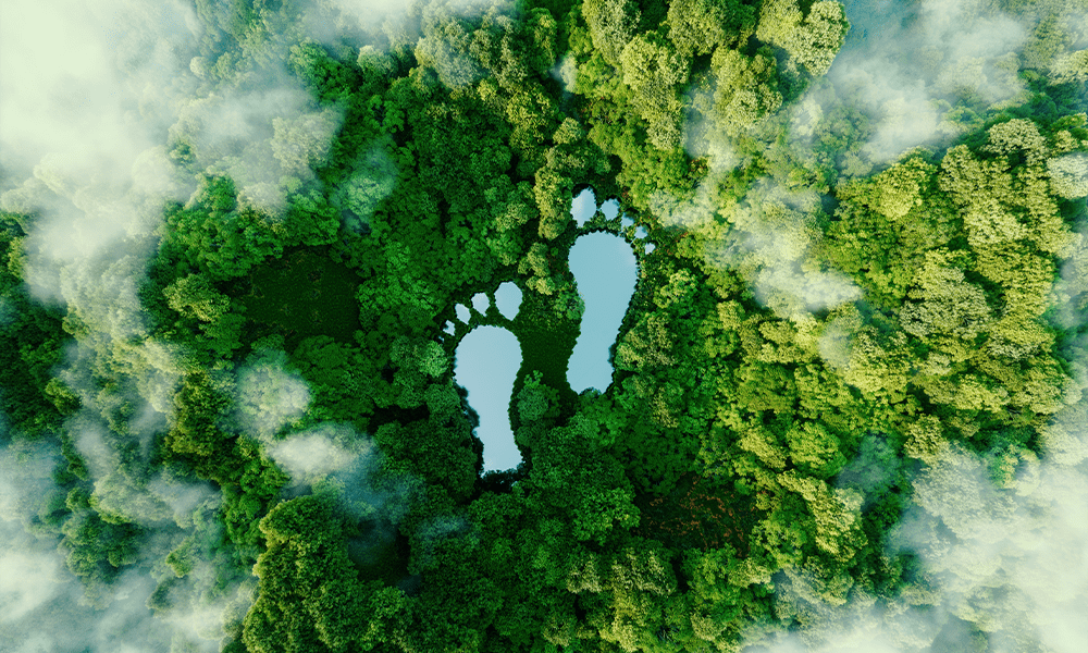 Luchtfoto van een dichtbegroeid bos met twee waterpartijen in de vorm van voetafdrukken, als symbool voor ecologische voetafdruk en duurzaamheid.