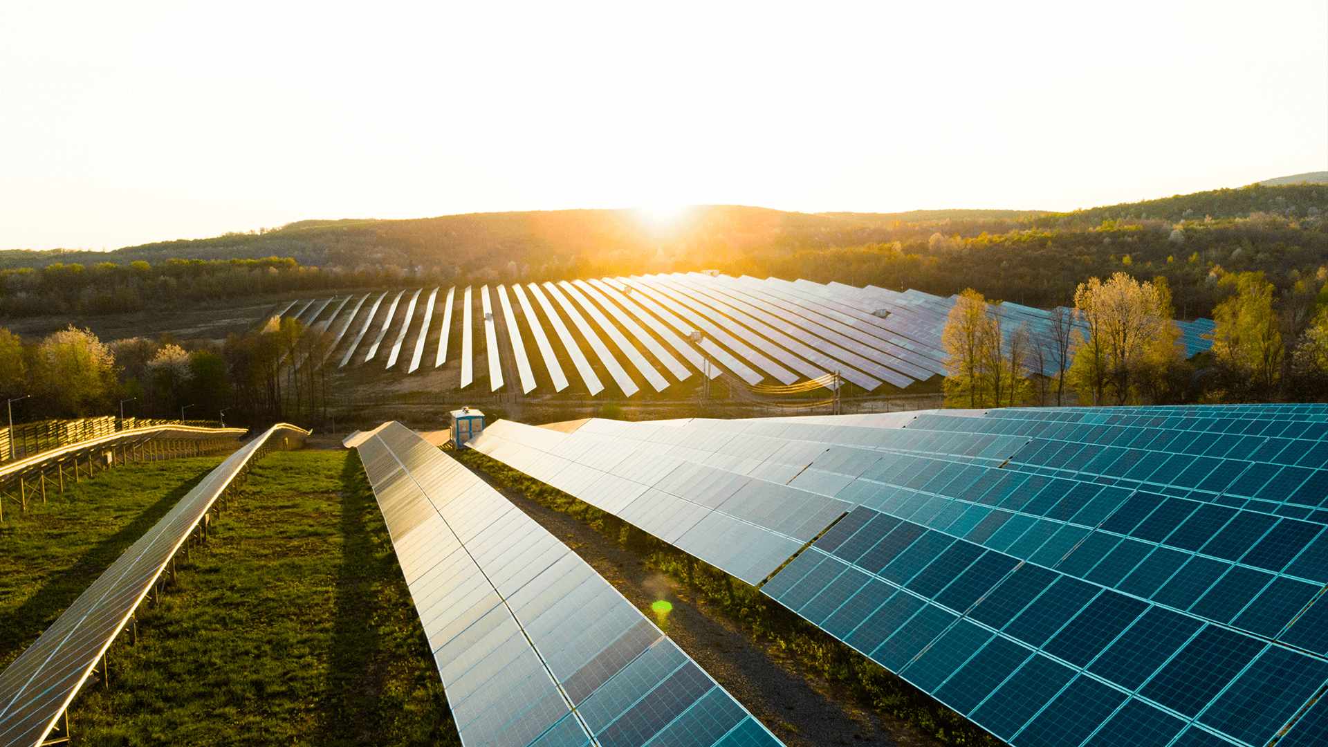 Groot zonnepark met rijen zonnepanelen in een groen landschap bij zonsopgang, symbool voor duurzame energieopwekking.