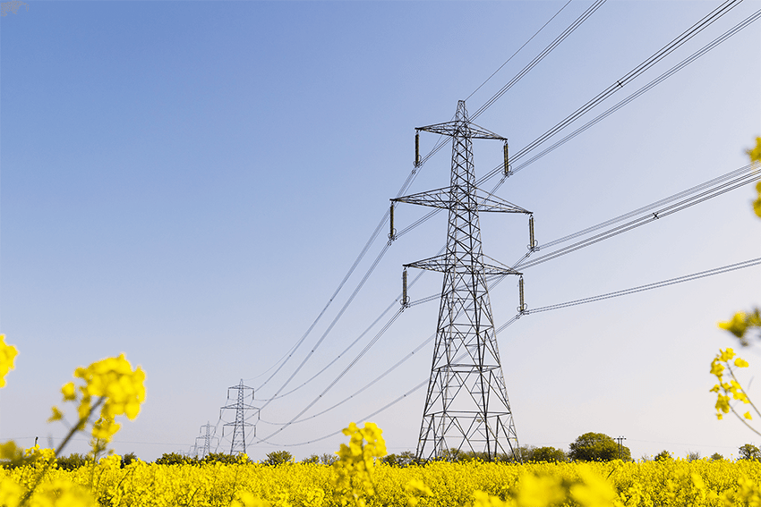 Hoogspanningsmasten met elektriciteitskabels in een geel bloeiend koolzaadveld onder een heldere blauwe lucht.
