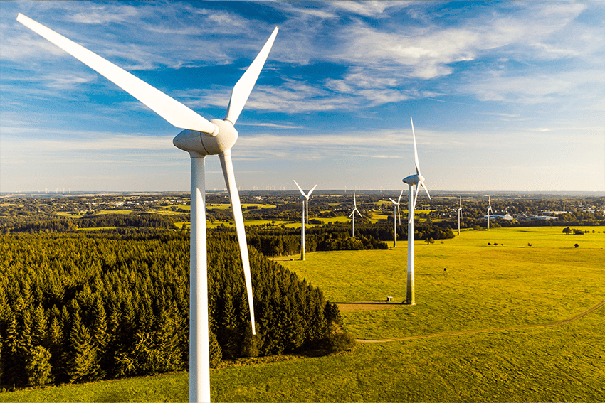 Een rij witte windmolens in een groen landschap met bos op de achtergrond en een heldere blauwe lucht erboven.
