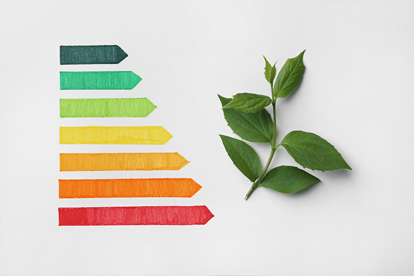 Afbeelding van energielabels in kleurverloop van groen naar rood, met daarnaast een groene tak met bladeren als symbool voor duurzaamheid en energie-efficiëntie.