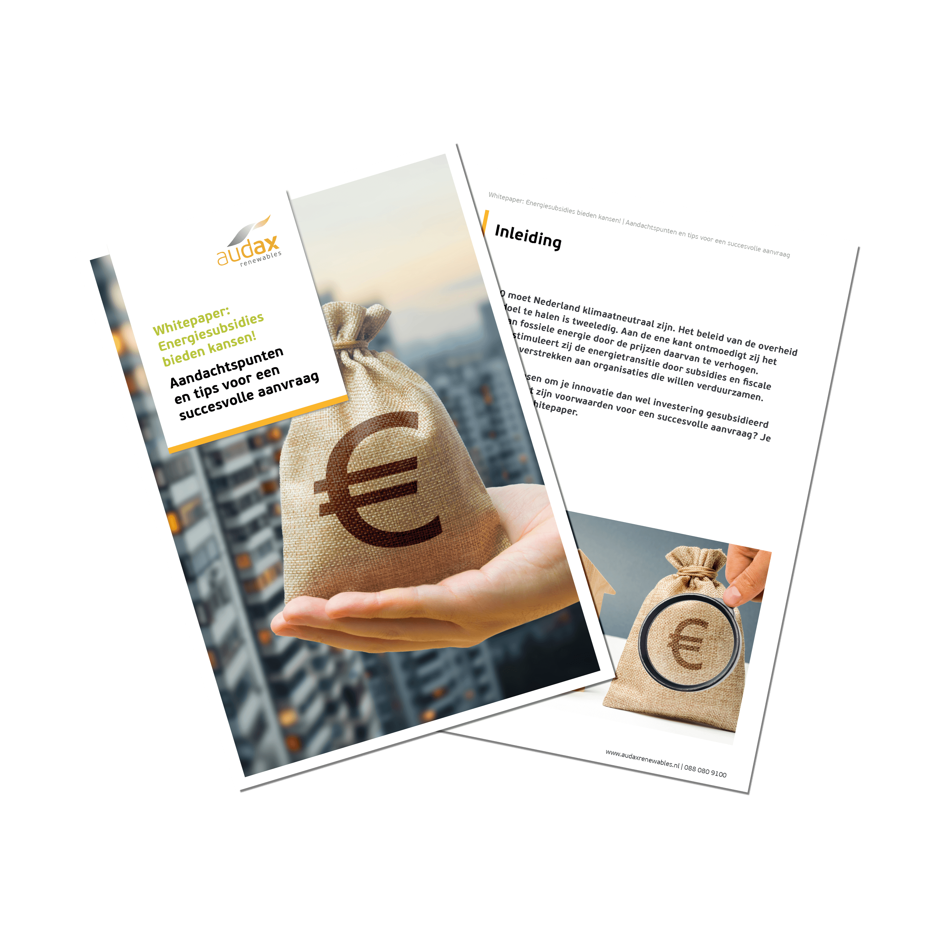 Voorzijde van een whitepaper van Audax Renewables met de titel 'Energiesubsidies bieden kansen! Aandachtspunten en tips voor een succesvolle aanvraag', met een afbeelding van een hand die een geldzak met euroteken vasthoudt, op de achtergrond een flatgebouw.