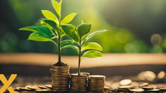 financiele steun overheid